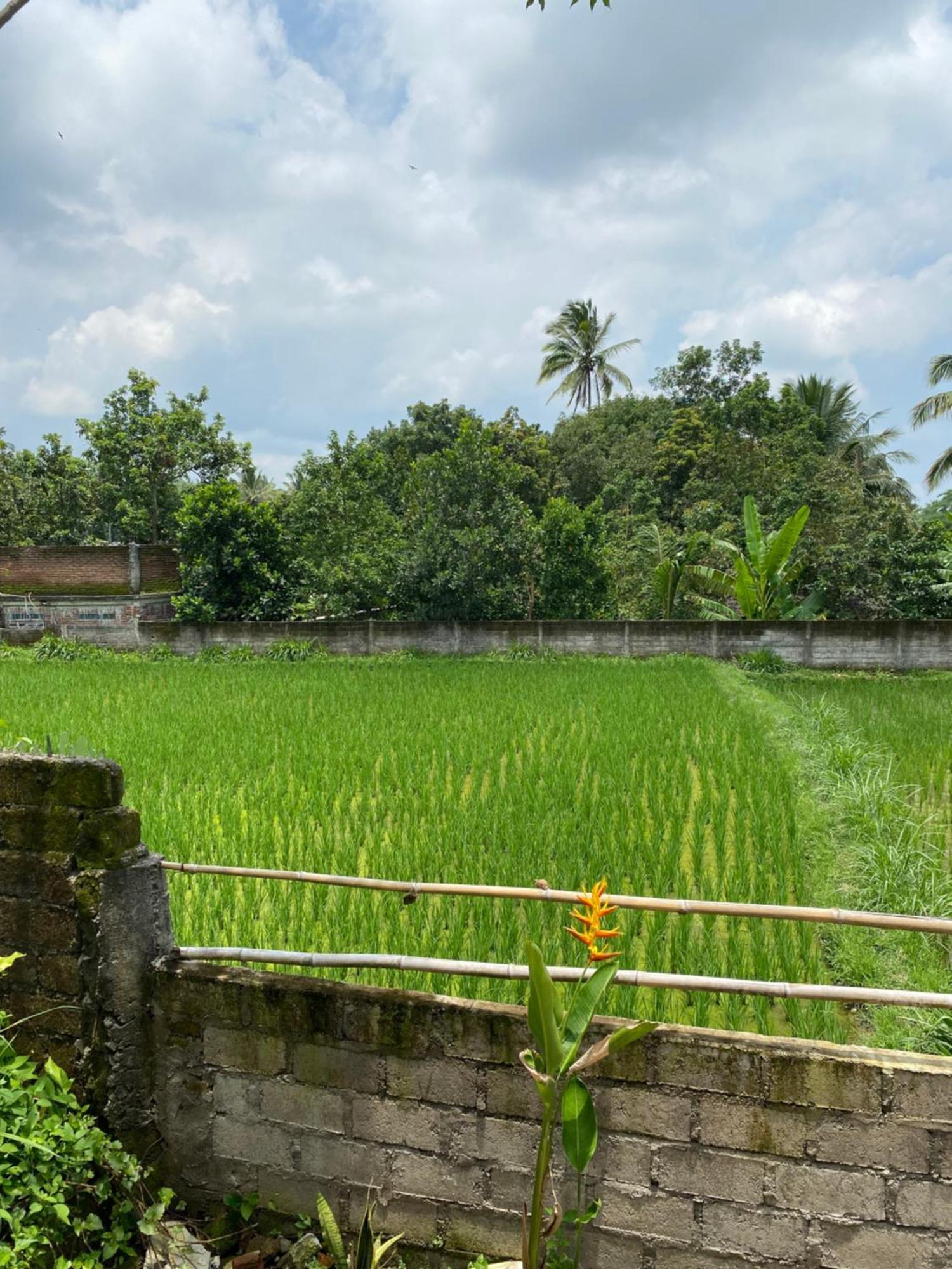 Kembang Kuning Cottages Tetebatu Exterior photo