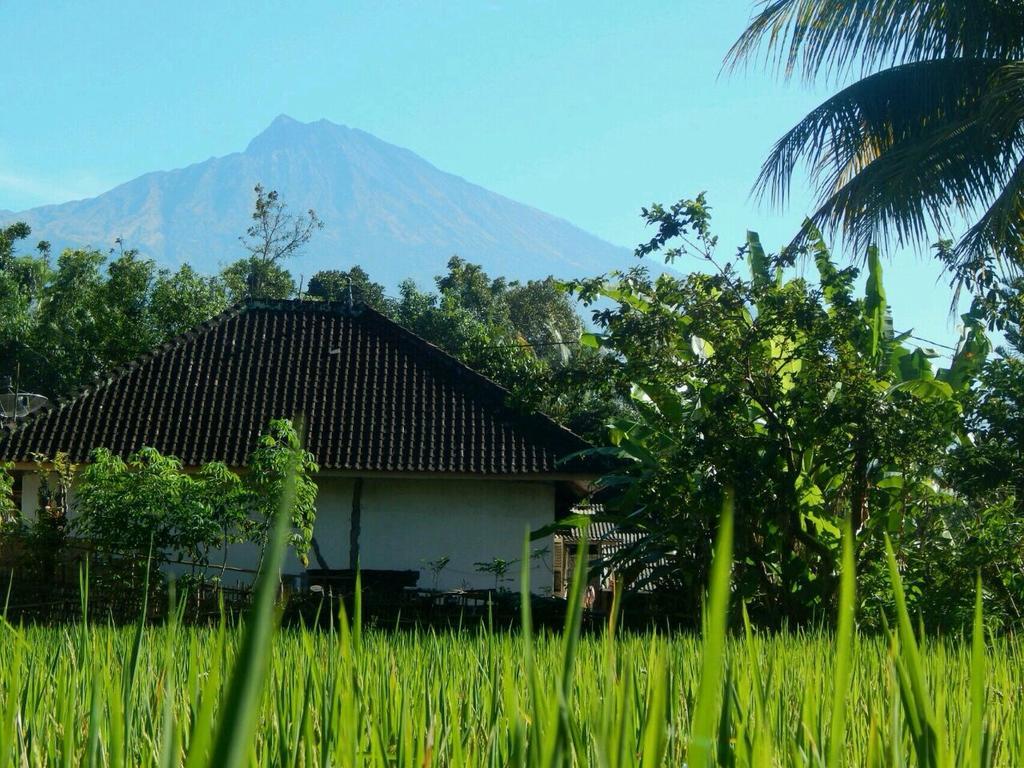 Kembang Kuning Cottages Tetebatu Exterior photo